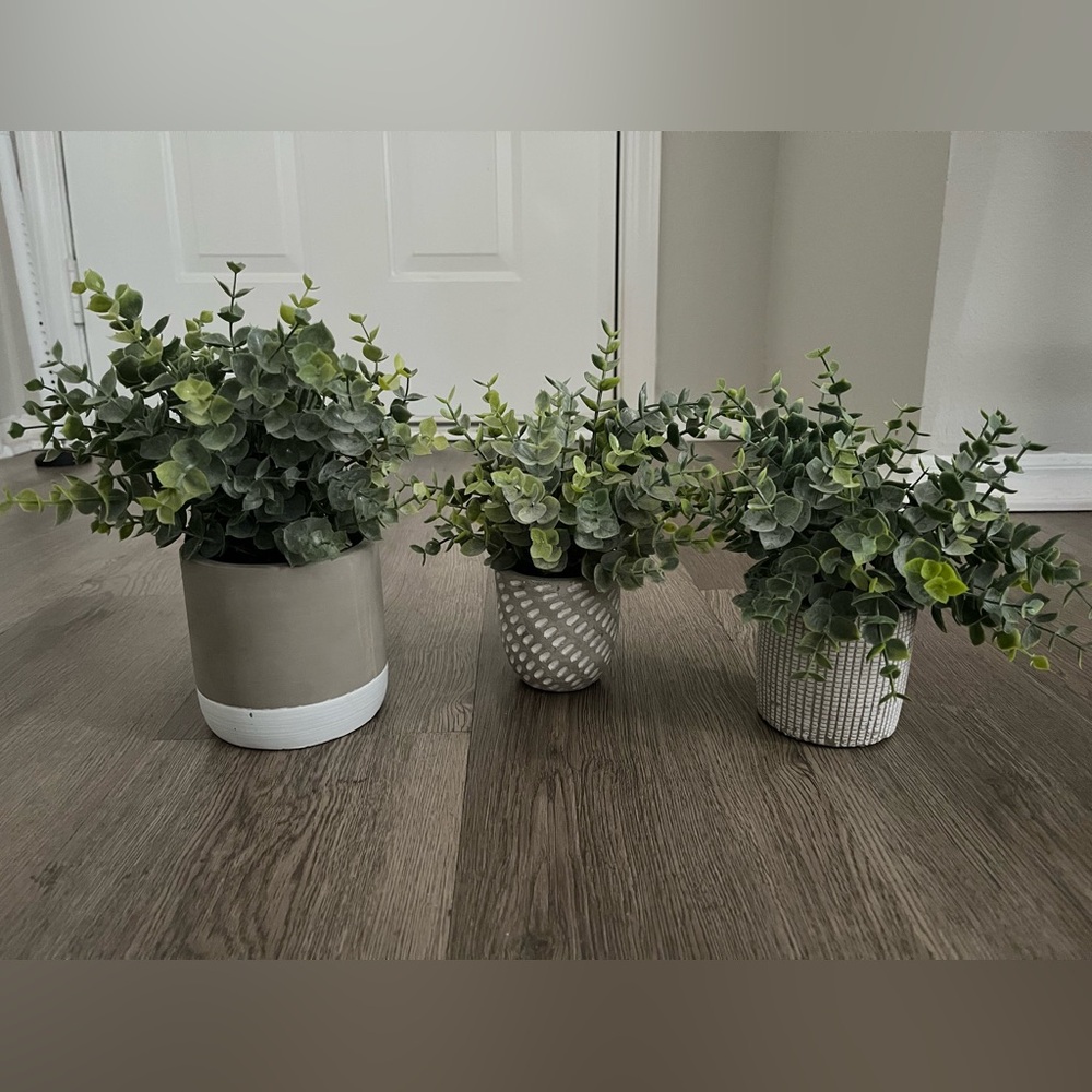 Eucalyptus Faux Plants - set of 3